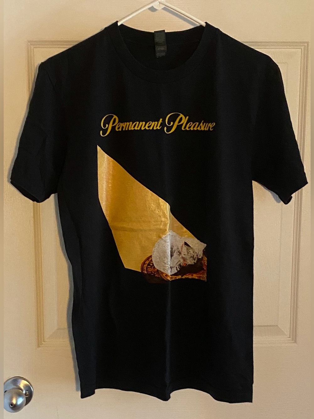 Joywave Permanent Pleasure T-Shirt